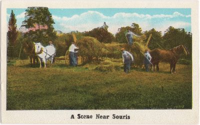 , A Scene Near Souris (0613), PEI Postcards