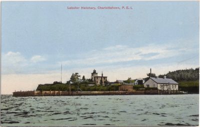 , Lobster Hatchery, Charlottetown, P.E.I. (0196), PEI Postcards