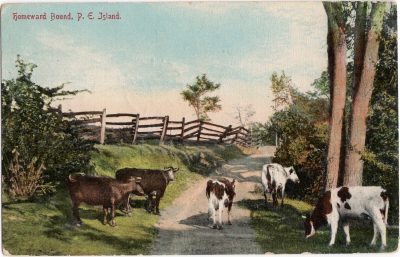 , Homeward Bound, P.E. Island. (0791), PEI Postcards