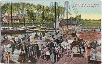 , Shipping at Montague, P.E. Island. “A Busy Day”. (0988), PEI Postcards