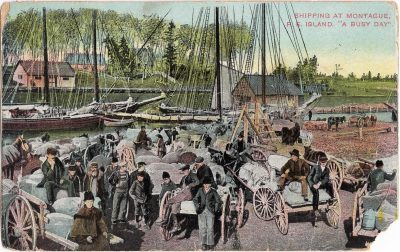 , Shipping at Montague, P.E. Island. “A Busy Day” (0993), PEI Postcards