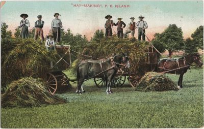 , “Hay-Making”, P.E. Island (1353), PEI Postcards