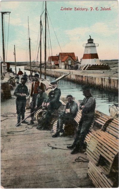 , Lobster Hatchery, P.E. Island (1590), PEI Postcards
