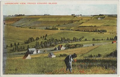 , Landscape View, Prince Edward Island (1792), PEI Postcards