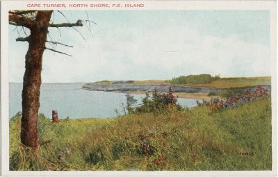 , Cape Turner, North Shore, P.E. Island (1990), PEI Postcards