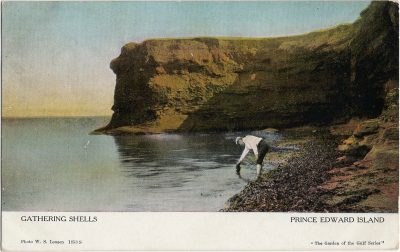 , Gathering Shells Prince Edward Island. (2241), PEI Postcards