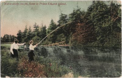 , Not so easely caught, Scene in Prince Edward Island. (2356), PEI Postcards