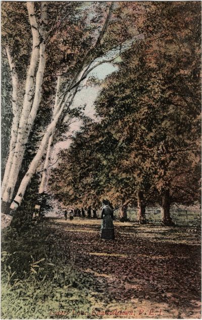 , Lovers Lane Charlottetown P.E.I. (2324), PEI Postcards
