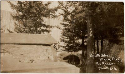 , Smith Silver Black Fox Co. Ltd. Fox Ranch Montague P.E.I. (2384), PEI Postcards