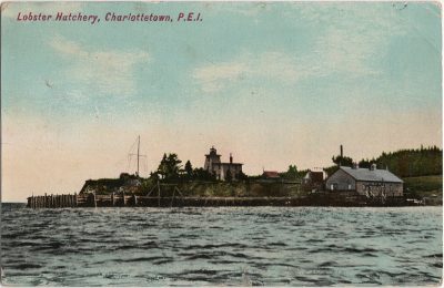 , Lobster Hatchery, Charlottetown, P.E.I. (2513), PEI Postcards