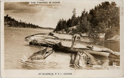 , The Fishing is Good at Ellerslie, P.E.I. Canada (2829), PEI Postcards