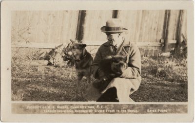 , Property of W.K Rogers, Charlottetown, P.E.I. Largest Individual Breeder of Silver Foxes in the
    World. Bayer Photo. (2945), PEI Postcards