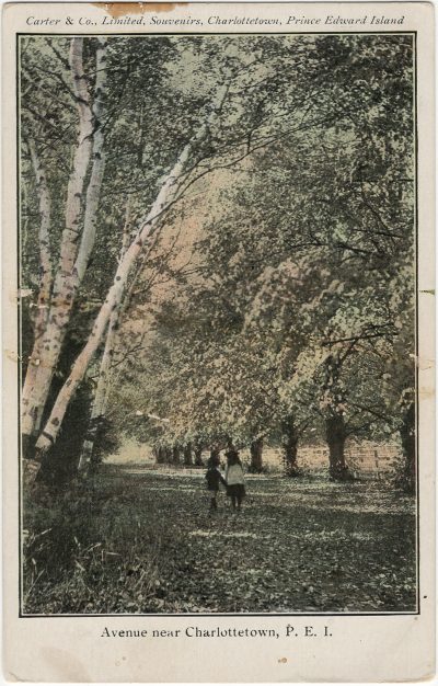 , Avenue near Charlottetown, P.E.I. (3065), PEI Postcards