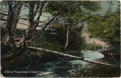 , A Bit of Prince Edward Island Scenery (3112), PEI Postcards