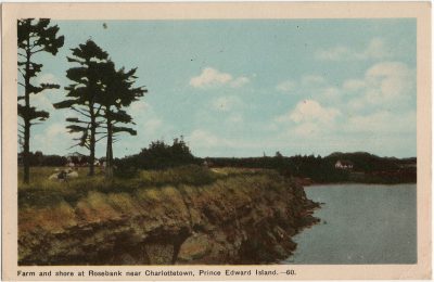 , Farm and shore at Rosebank near Charlottetown, Prince Edward Island. (3250), PEI Postcards